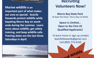 Recruiting Morro Bay State Park SeaLife Stewards
